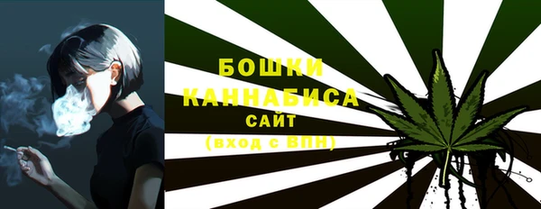 амф Семилуки