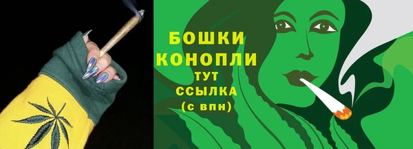 амф Семилуки