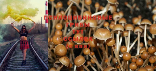 дурь Армянск
