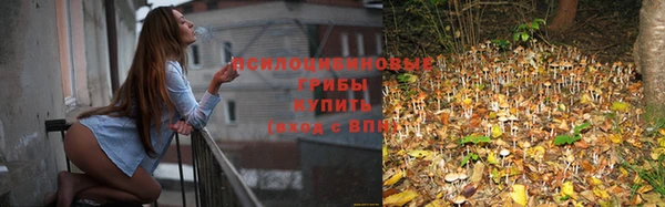 дурь Армянск